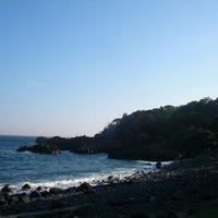 伊豆海洋公園 ダイビング
