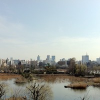 上野動物園 不忍池
