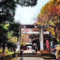 上野東照宮 (Ueno Toshogu Shrine) 徳川家康（東照大権...