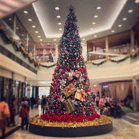 ジェイアール名古屋タカシマヤ 13階のクリスマスツリー...