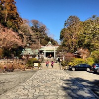 鎌倉宮 Kamakura-gu Shrine 厄割り石で厄払いした...