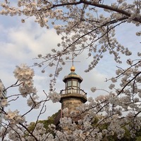 千鳥ヶ淵 日本初の灯台、燈明台と桜...