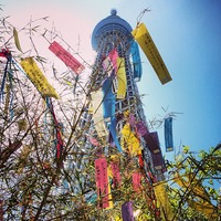 東京スカイツリー (Tokyo Skytree) 七夕スカイツリー...