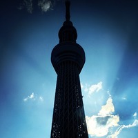東京スカイツリー (Tokyo Skytree) 逆光の東京スカイツリーさ...