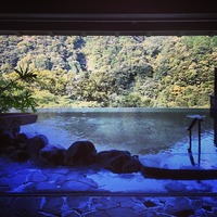 箱根吟遊 (Hakone Ginyu) 待望の月代の一番風呂をいただきます...