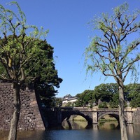 二重橋 (Nijubashi Bridge) 昨日の暑さは去って今日はまた...