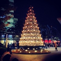 六本木ヒルズ (Roppongi Hills) クリスマスツリーのちょうど...