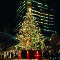 恵比寿ガーデンプレイス 時計広場のクリスマスツリー...
