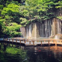 目黒雅叙園 パワースポットとしても人気のある庭園の滝...