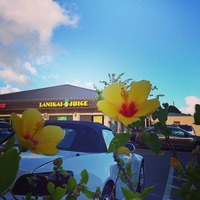 Lanikai Juice カハラモール目の前 ラニカイジュース kahala sweets