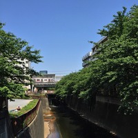 目黒川 中目黒 tokyolife nakameguro 下北沢 飲食店 恵比寿 美容院 競争