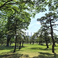 皇居外苑 marunouchi imperial 芝生 シート ビール park green