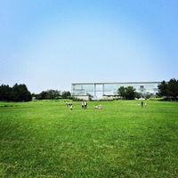 葛西臨海公園 展望広場 edogawaku カーテンウォール kasai 芝生 ガラス 青い空