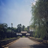 江戸城 清水門 chiyodaku 江戸っぽくっ 原っぱ 区役所 edo gate tokyo