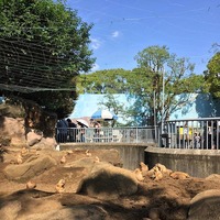 江戸川区自然動物園 オグロプレーリードッグ edogawaku relux 穴掘り 指折り