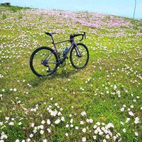 IMG_2661.jpeg