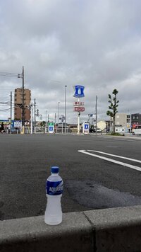 IMG_2665.jpg