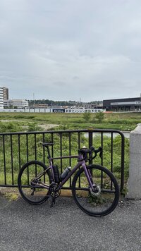 IMG_2682.jpg