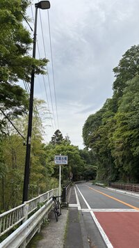 IMG_2687.jpg