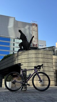 IMG_2370.jpg