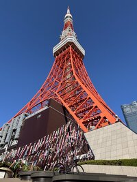 IMG_2378.jpg