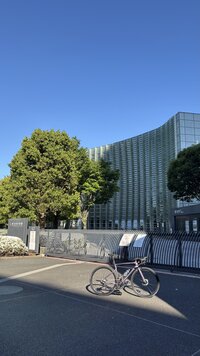IMG_2380.jpg