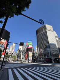 IMG_2385.jpg