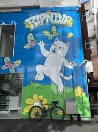IMG_2390.jpg