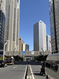 IMG_2393.jpg