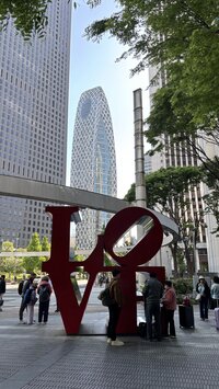IMG_2395.jpg