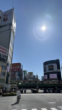 IMG_2397.jpg