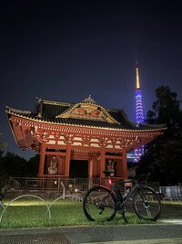 IMG_2913.jpg