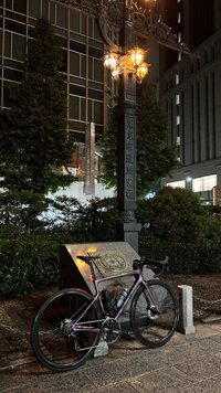 IMG_2935.jpg