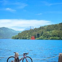 IMG_2938.jpeg