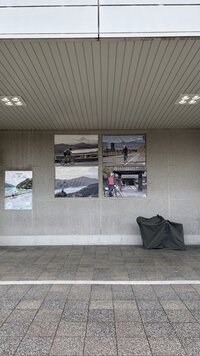 IMG_2782.jpg