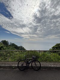 IMG_2787.jpg
