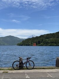 IMG_2864.jpg