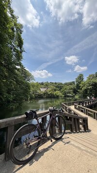 IMG_3213.jpg