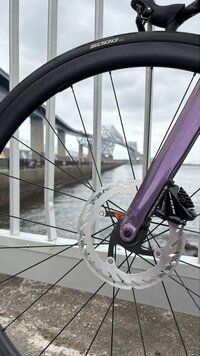 IMG_3288.jpg