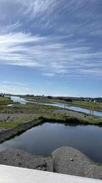 IMG_3379.jpg