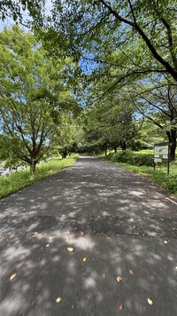 IMG_3405.jpg