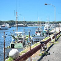 IMG_3644.jpeg