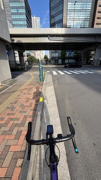 IMG_4121.jpg