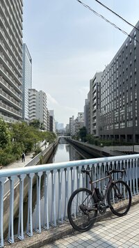 IMG_4237.jpg
