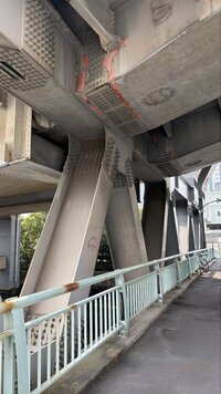 IMG_4239.jpg