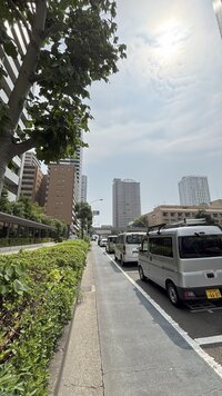 IMG_4241.jpg