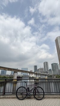 IMG_4251.jpg
