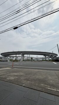IMG_4259.jpg