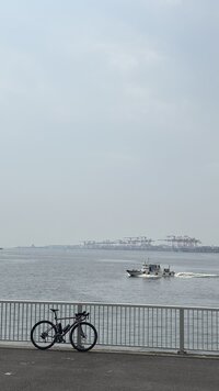 IMG_4267.jpg