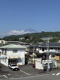 IMG_4425.jpg